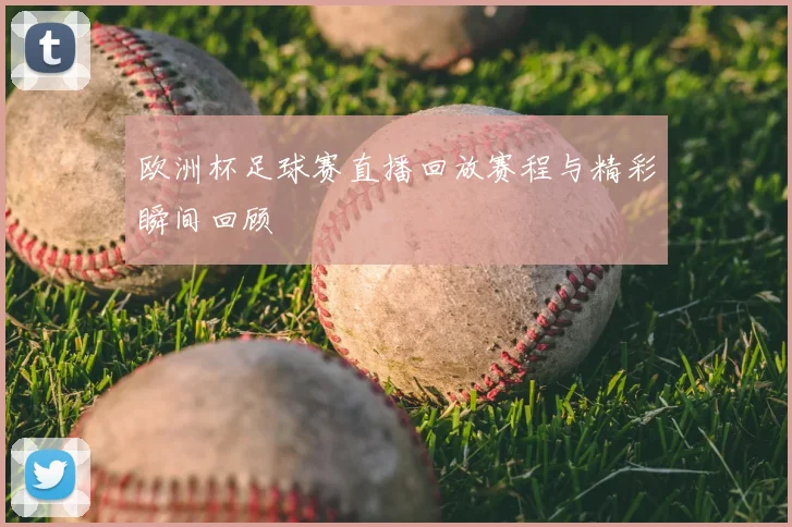 欧洲杯足球赛直播回放赛程与精彩瞬间回顾
