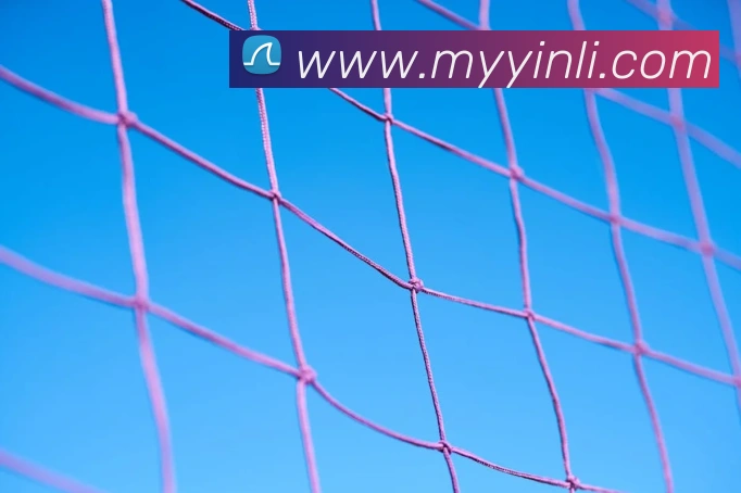 开云在线登录入口官网全站App 开云在线登录入口官网全站App